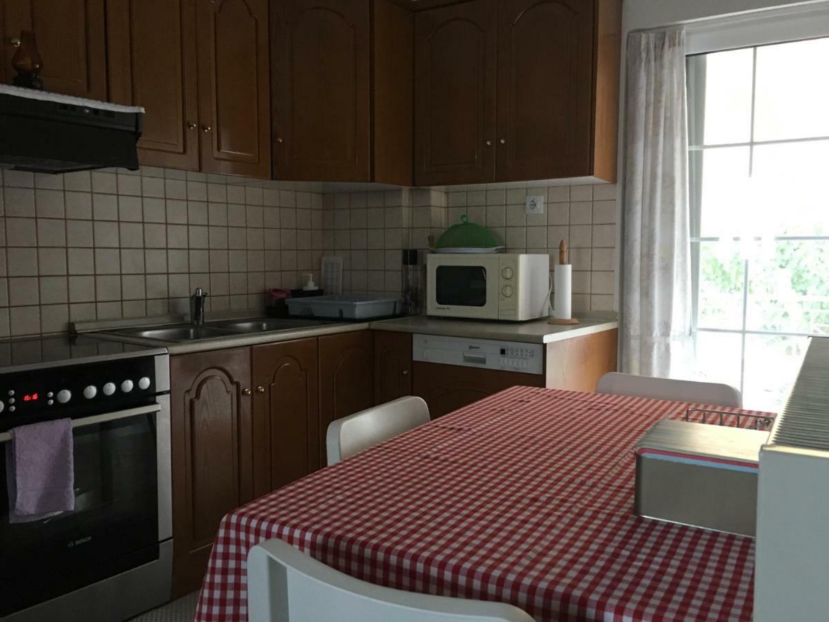 Cozy & Quiet City Apartment Trikala  Bagian luar foto